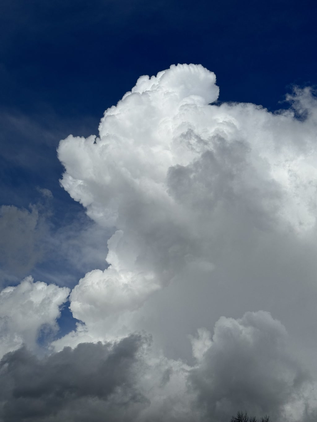 A towering cumulus cloud dominates the scene, with its intense white peaks rising high above against a backdrop of deep blue sky. The cloud formation displays a powerful vertical development, indicating a possible thermal updraft. Below and around the cumulus, there are patches of darker, smaller clouds, suggesting variability in the weather. The bottom edges of the clouds are gray, merging into the white fluffiness above, highlighted by the sunlight. There is a clear contrast between the bright whites of the cloud's body and the varying shades of blue and gray surrounding it. The scene evokes a sense of majesty and the dynamic nature of the atmosphere.